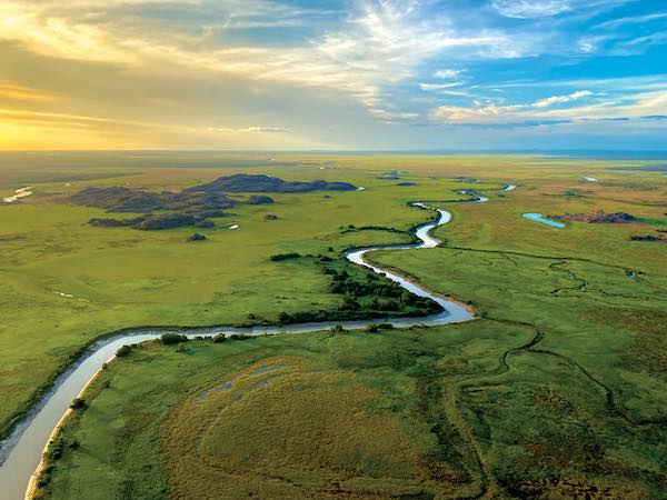 The beauty of the wetland plains